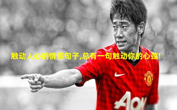 触动人心的情感句子,总有一句触动你的心弦!