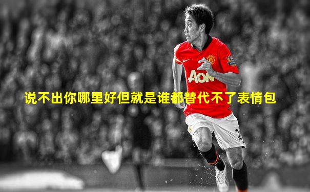 说不出你哪里好但就是谁都替代不了表情包