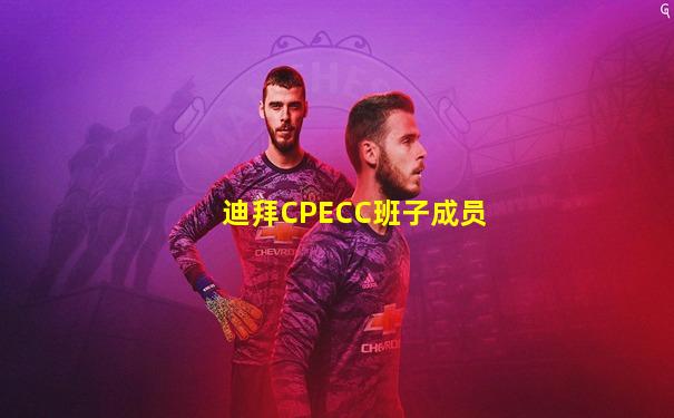迪拜CPECC班子成员