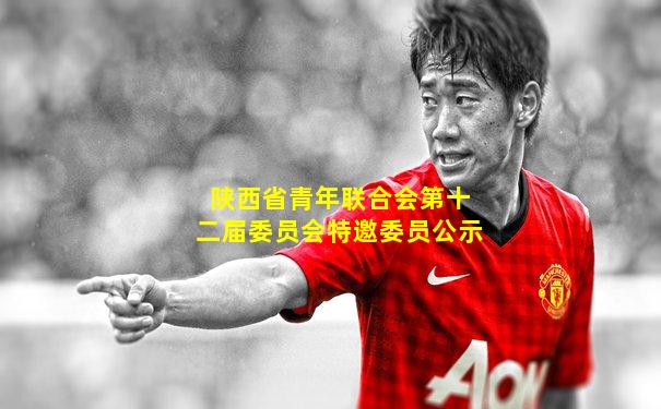 陕西省青年联合会第十二届委员会特邀委员公示