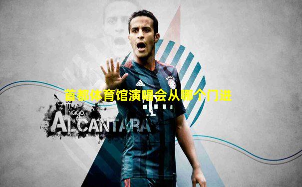 首都体育馆演唱会从哪个门进